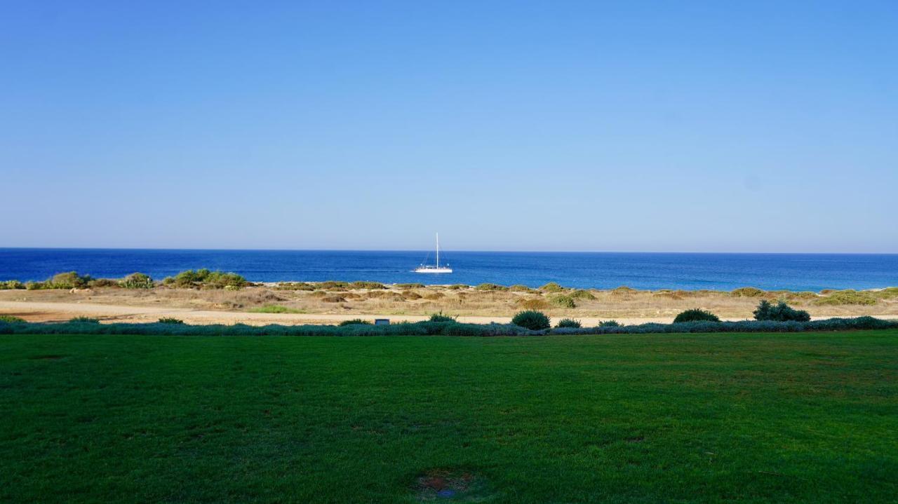 Narcissus 19 Villa Paralimni Exterior photo